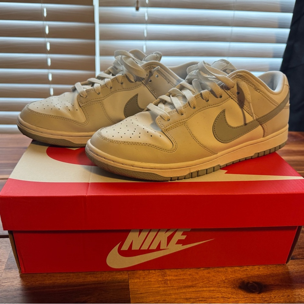 Nike Dunk Low (M10)